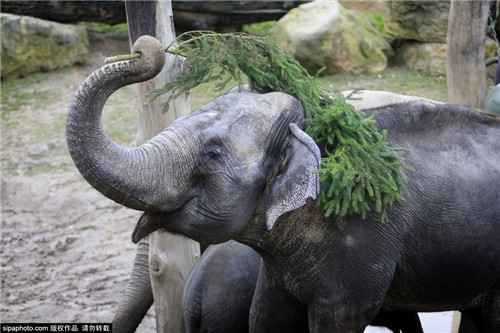 320名圣诞老人整体冲浪？？？八一八圣诞节奇闻趣事