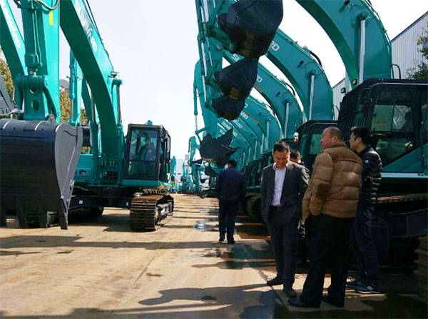 快来看，，，，快来看，，，，这里有一群绿精灵