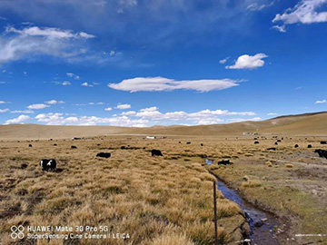 心系必发情，，，追梦阿里行！