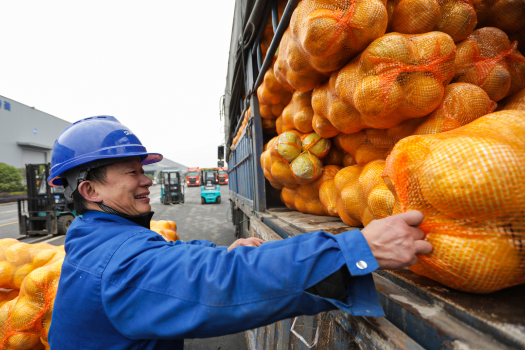点赞！必发智能乐成入选“上市公司墟落振兴优异实践案例”