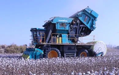 科技赋能农业强国建设！必发智能这小我私家工智能项目入选《湖南省“数字新基建”100个标记性项目名单》