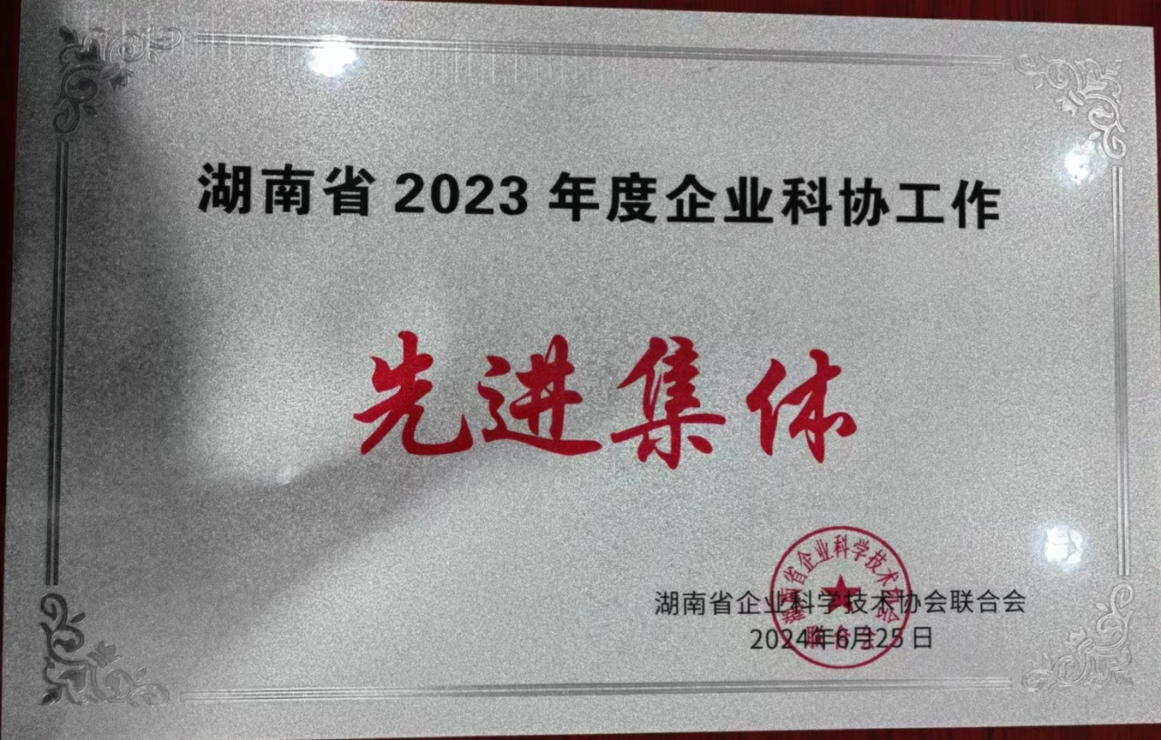 必发智能科协荣获湖南省2023年度“企业科协事情先进整体”